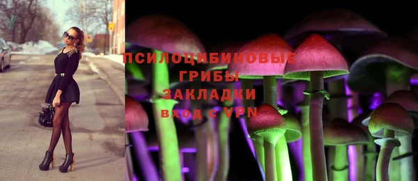 ECSTASY Абаза