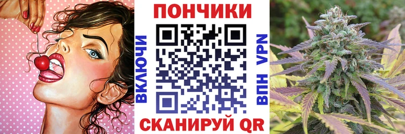 Бошки марихуана конопля  Правдинск 